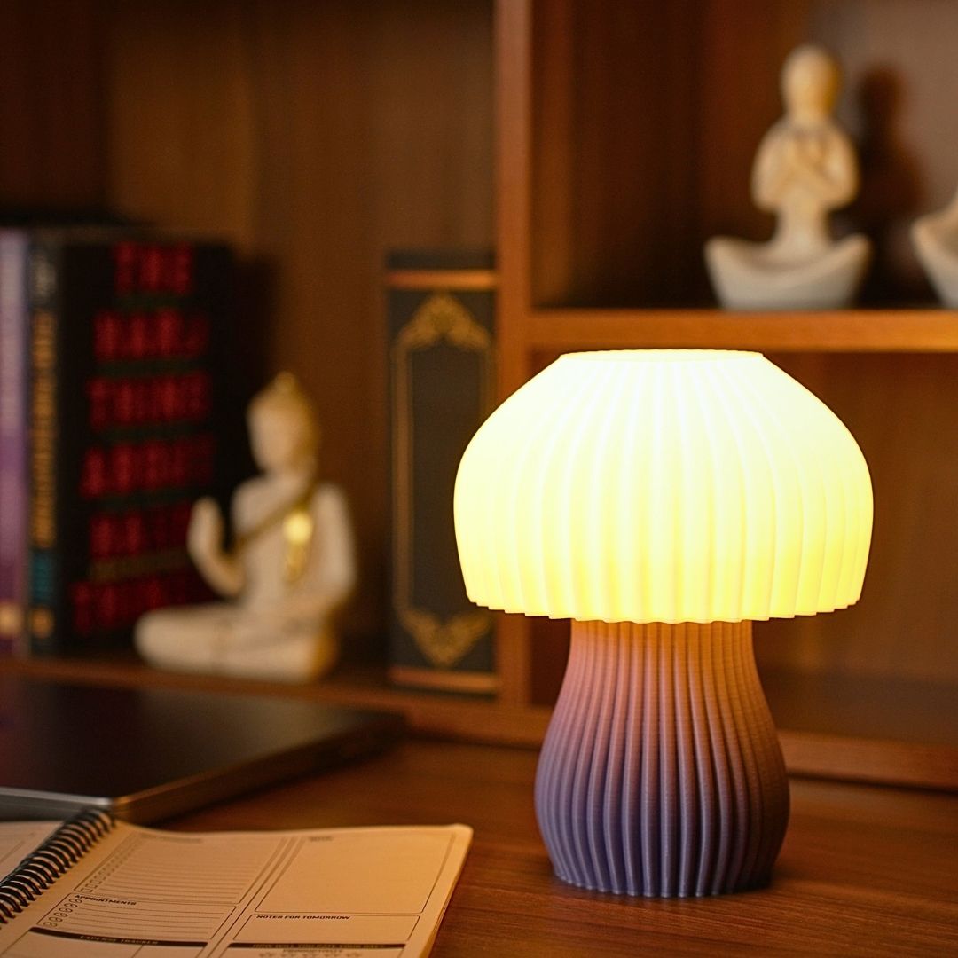 The lamp lit at night