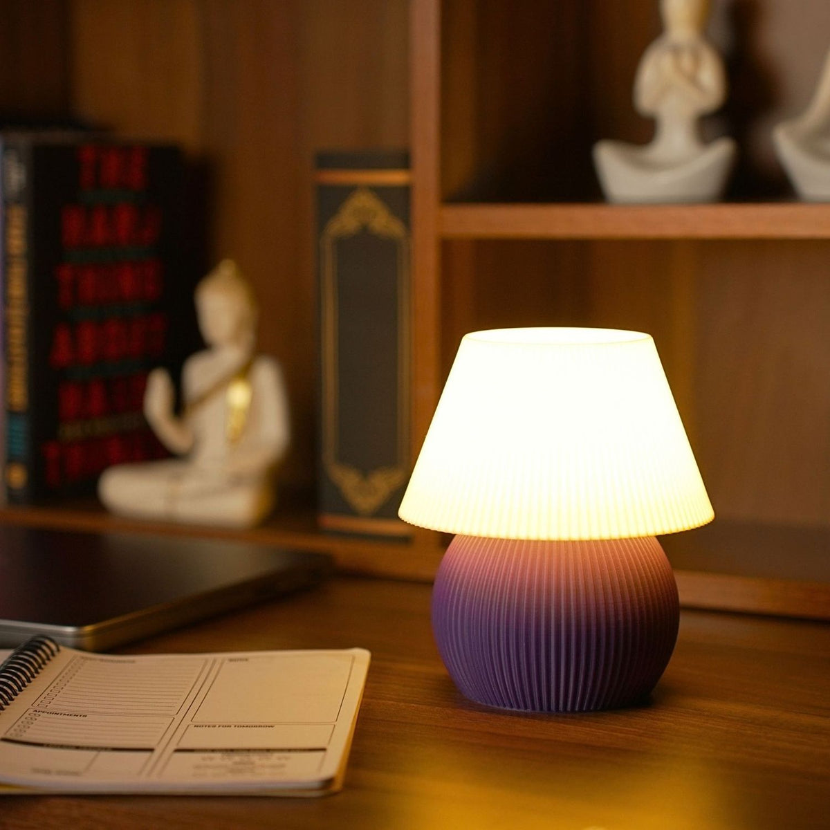 The lamp lit at night